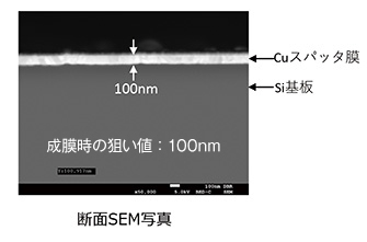 断面SEM写真