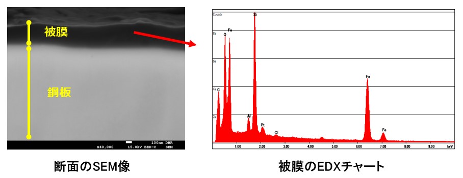 断面