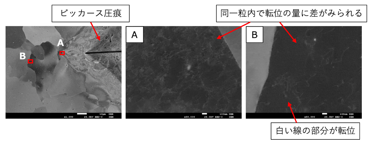 ビッカース圧痕近傍のECC 像